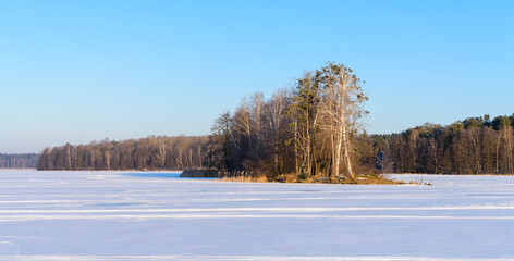 Panoramic View of an Island with Bare Trees on a Frozen Snow-Covered Forest Lake at Sunrise