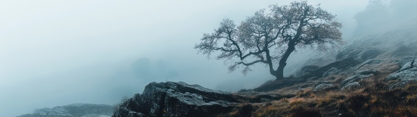 Obraz premium Misty mountain landscape with lone tree atop rocks.