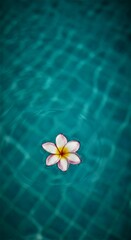 Tropical Frangipani Flower Floating in a Clear Blue Pool – Summer Aesthetic.