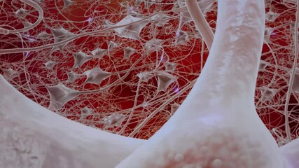 network brain synapses complex web of impulses red background abstract science visualization biological structure futuristic system detailed microscopic anatomy - Powered by Adobe