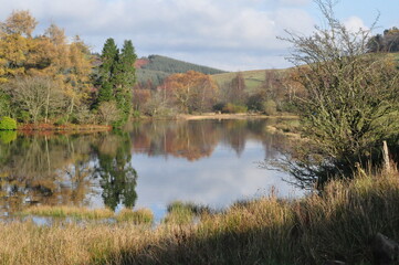 Serene Autumn Lake with Tree Reflections