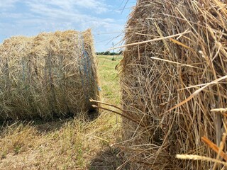 Straw bale nature.