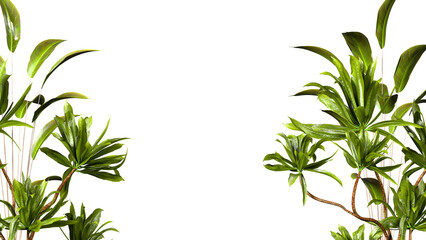 Obraz premium greenery frame botanical decor
