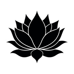 Lotus Flower Design