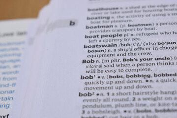Close Up Of English Dictionary Page With Word - Bob