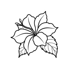 Hibiscus with leaves line art illustration 
