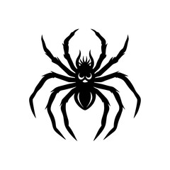 Spider silhouette isolated.