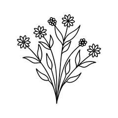 Wildflower bunch line art illustration 
