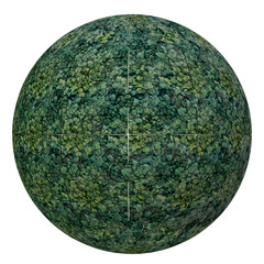 A spherical image depicting a dense, textured surface composed of small, dark-green leaves or...