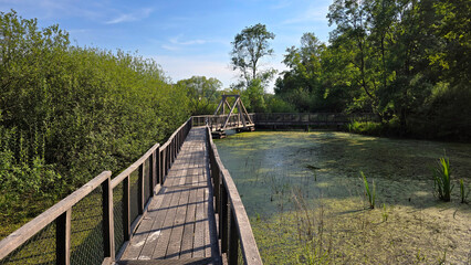 Long wooden footbridge with mesh railings crosses a green wetland pond, surrounded by dense trees...