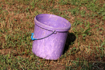 Faded purple plastic bucket with blue handle sits on patchy dry grass, showing signs of use and...