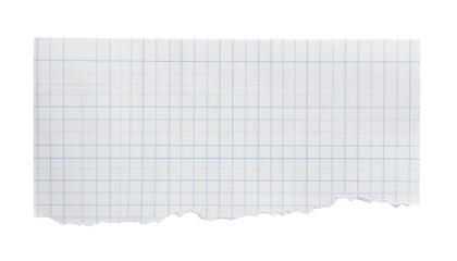 A torn piece of graph paper, a simple yet versatile element for various design and conceptual needs. The grid pattern and ragged edge add a tactile feel.