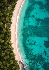 Aerial View of Tropical Beach with Turquoise Water and Lush Palm Trees