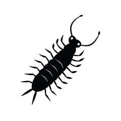 centipede insect black vector