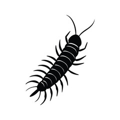 centipede insect black vector