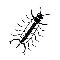 centipede insect black vector