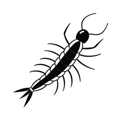 centipede insect black vector