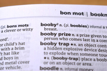 English Dictionary Definition Of Word - Booby