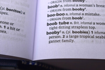 Close Up Of English Dictionary Page With Word - Booby
