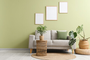 Cozy sofa, houseplants and blank posters on green wall in living room