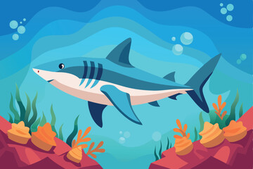 a solitary tiger shark patrolling its territory