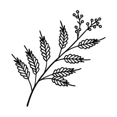 floral mimosa branch line art vector