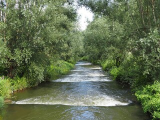 Ausblick über Maas bei Roermond in den Niederlanden