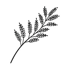 floral mimosa branch line art vector