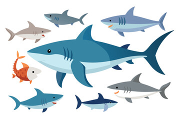 Naklejka premium set of different types of sharks collection 