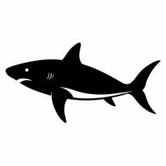 Fototapeta premium shark cartoon isolated on white