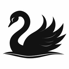 Naklejka premium black and white swan