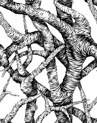 black and white tree lineart for printing and wallpaper purposes