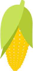corn illustration