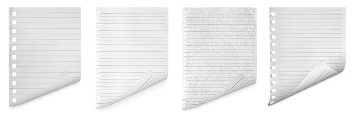 The collection isolated sheet of paper