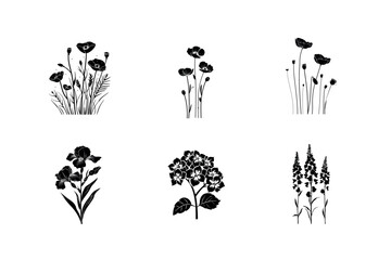 Six black silhouettes of various flowers