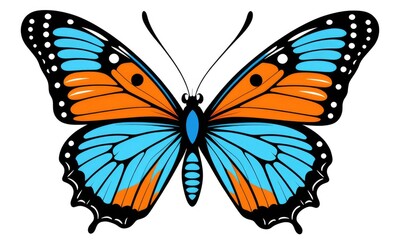 Vibrant orange and blue butterfly with intricate wing patterns on white background