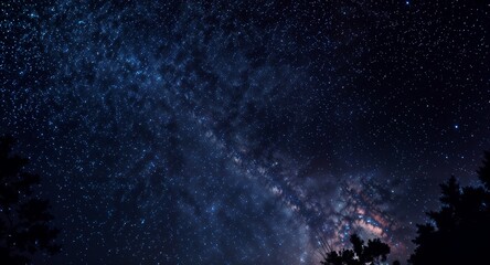 Fototapeta premium A clear night sky filled with stars and the Milky Way galaxy. Dark silhouettes of trees are visible in the foreground.