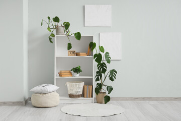 Interior of light room with bookshelf and Monstera plant
