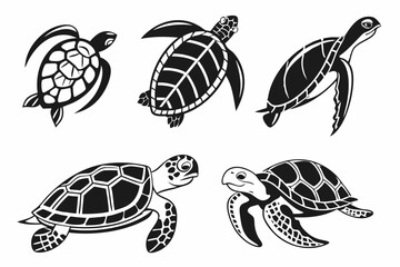 turtle vector illustration