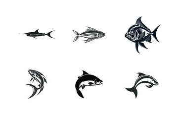 Six different types of fish vector illustrations