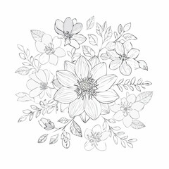 vector Line art Sketch Floral Botany. flower drawings.