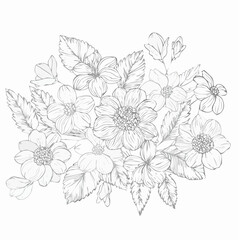 vector Line art Sketch Floral Botany. flower drawings.