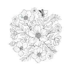 vector Line art Sketch Floral Botany. flower drawings.