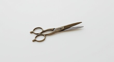 Vintage metal scissors with bronze finish laying flat on white background, minimalist composition, sharp blade detail, soft shadow