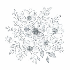 vector Line art Sketch Floral Botany. flower drawings.