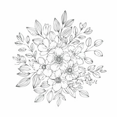 vector Line art Sketch Floral Botany. flower drawings.