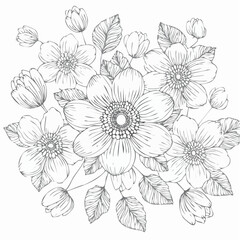 vector Line art Sketch Floral Botany. flower drawings.