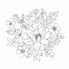 vector Line art Sketch Floral Botany. flower drawings.