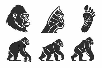 Fototapeta premium vector illustration of a silhouette of a lion