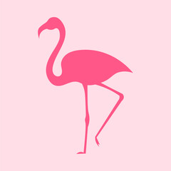 Pink flamingo isolated vector illustration.